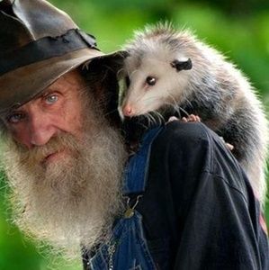 Meet your Posher, Jodie